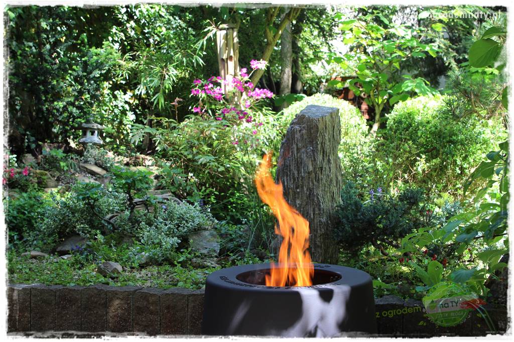 pomysły na grilla 9 pomysły na grilla 9