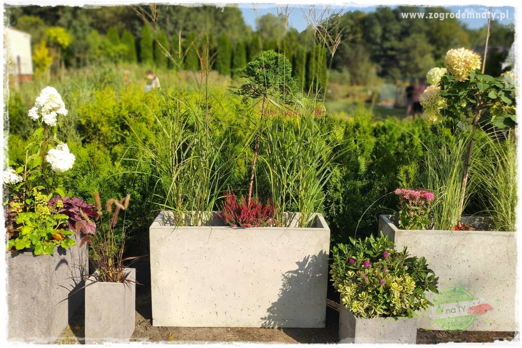 Beton architektoniczny w ogrodzie 11 Beton architektoniczny w ogrodzie 11