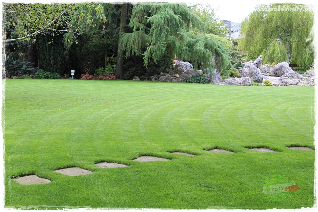 Beton architektoniczny w ogrodzie 19 Beton architektoniczny w ogrodzie 19