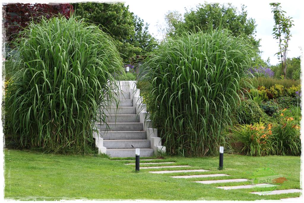 Beton architektoniczny w ogrodzie 22 Beton architektoniczny w ogrodzie 22