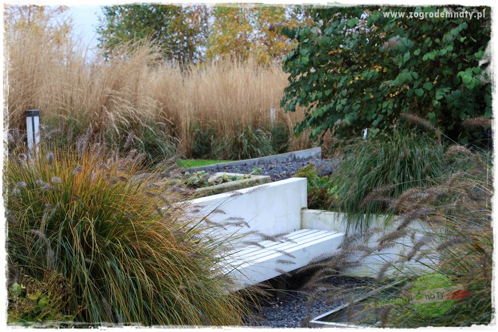 Beton architektoniczny w ogrodzie 24 Beton architektoniczny w ogrodzie 24