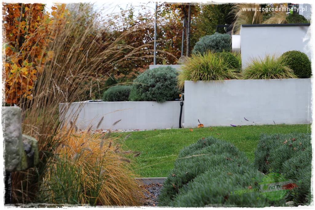 Beton architektoniczny w ogrodzie 25 Beton architektoniczny w ogrodzie 25