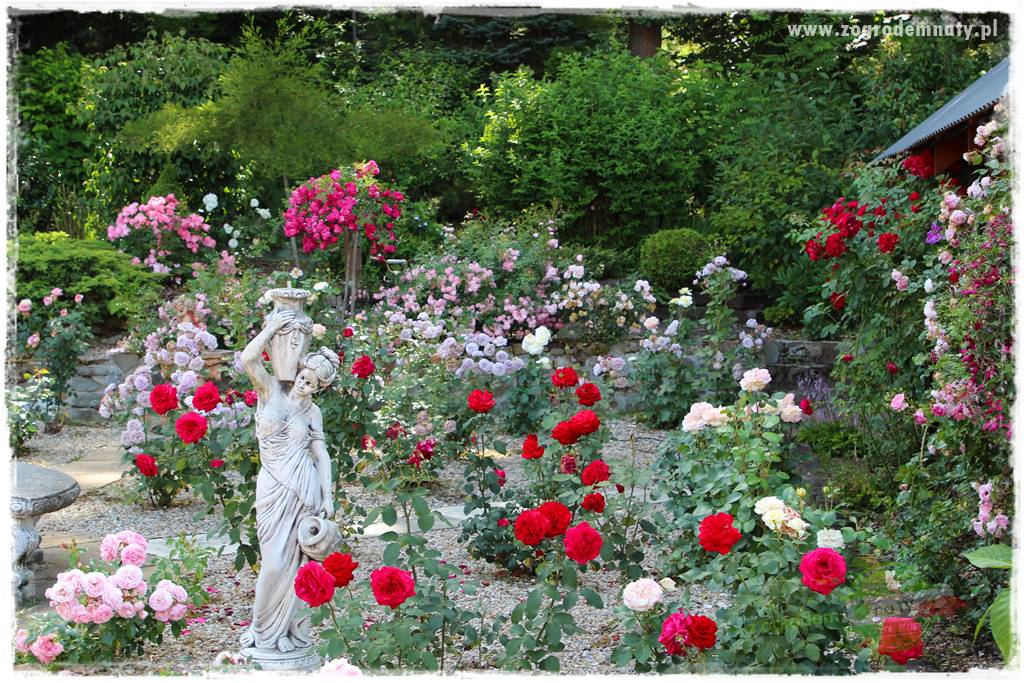 Beton architektoniczny w ogrodzie 9 Beton architektoniczny w ogrodzie 9