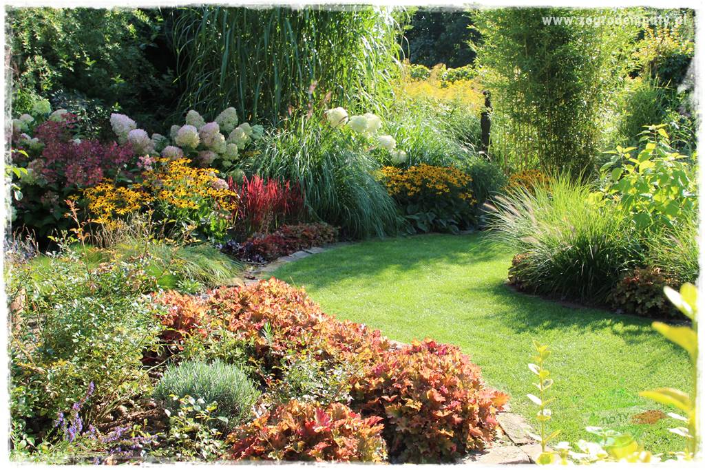 Byliny o ozdobnych liściach 21 Byliny o ozdobnych liściach 21