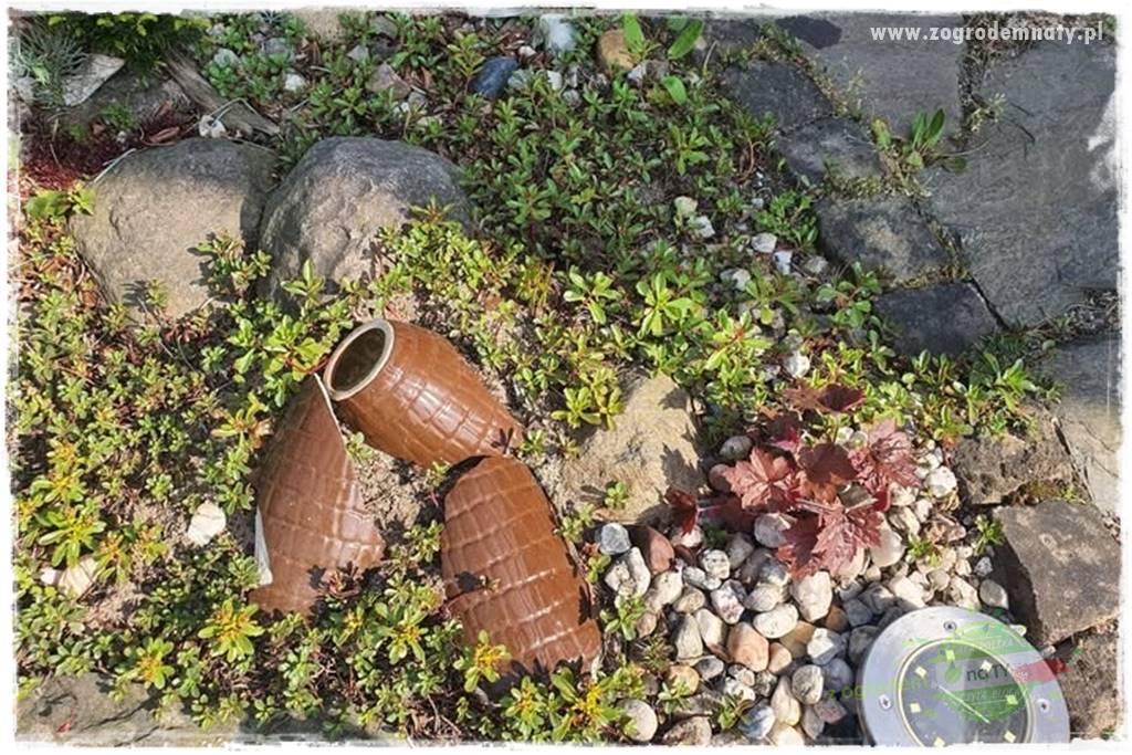 Byliny o ozdobnych liściach 44 Byliny o ozdobnych liściach 44