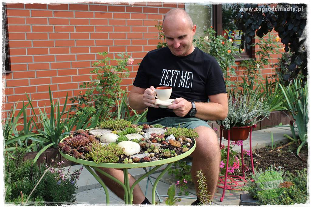 Byliny o ozdobnych liściach 89 Byliny o ozdobnych liściach 89