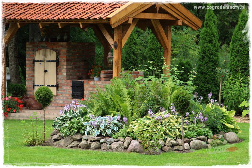 Byliny o ozdobnych liściach 90