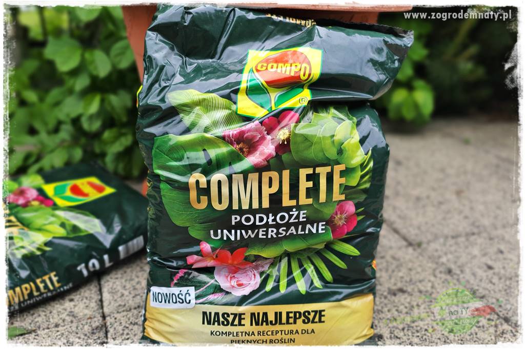 Ekologiczne sadzenie pomidorów 16 Ekologiczne sadzenie pomidorów 16