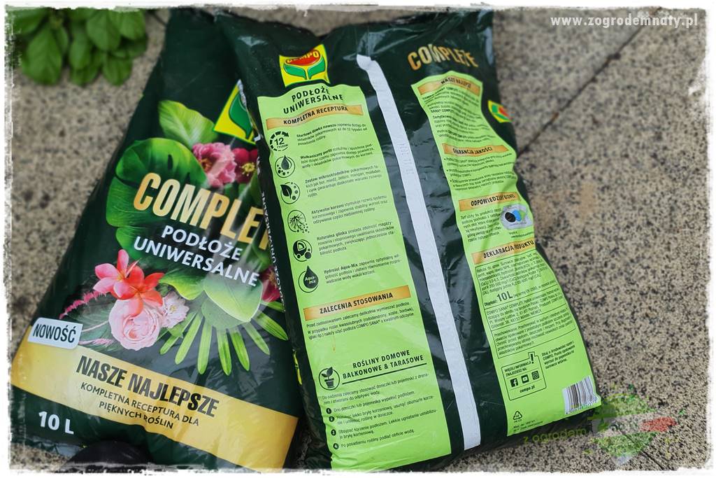 Ekologiczne sadzenie pomidorów 19 Ekologiczne sadzenie pomidorów 19