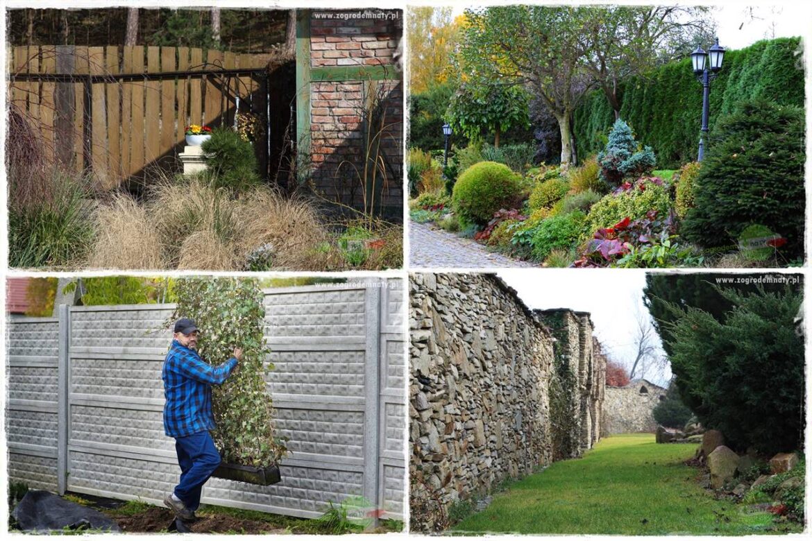 Jak osłonić ogród od hałasu 0