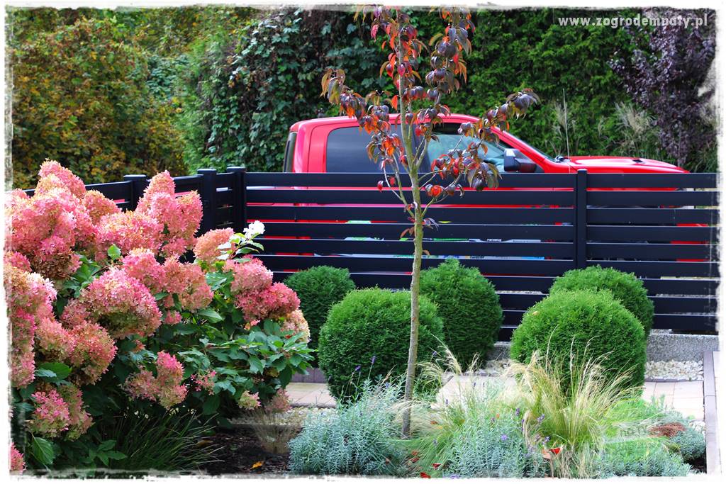 Jak osłonić ogród od hałasu 1 Jak osłonić ogród od hałasu 1