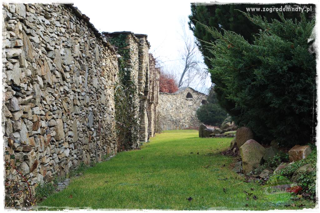 Jak osłonić ogród od hałasu 14 Jak osłonić ogród od hałasu 14