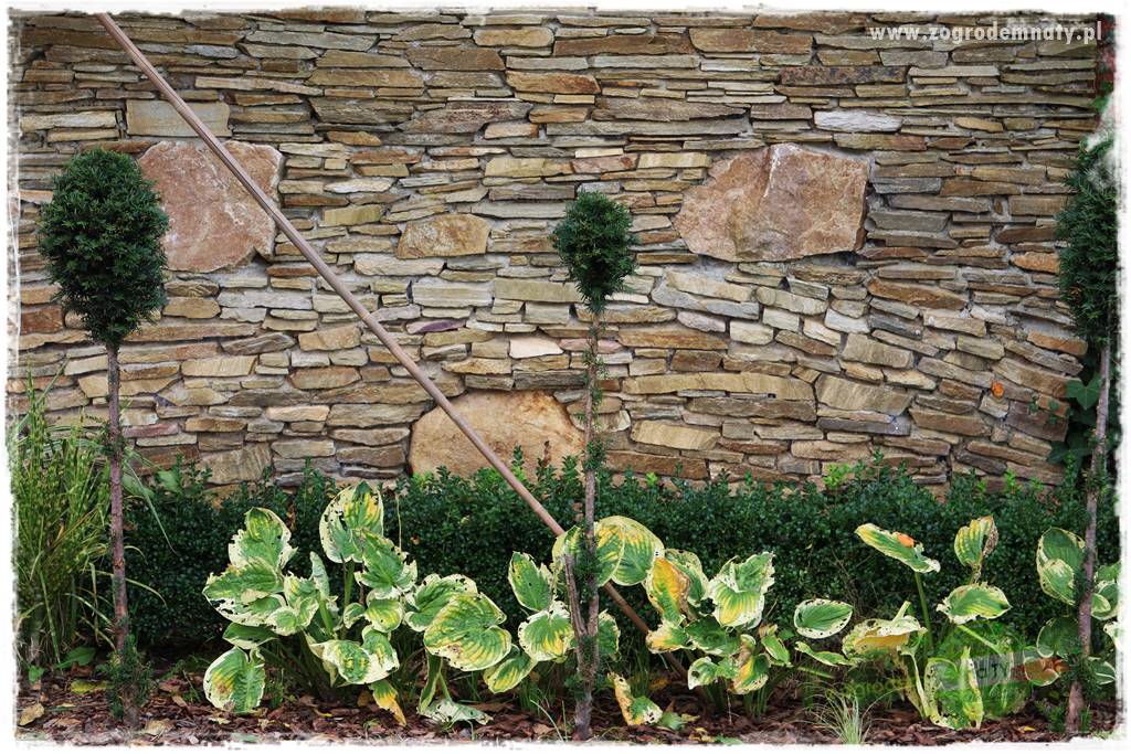 Jak osłonić ogród od hałasu 15 Jak osłonić ogród od hałasu 15