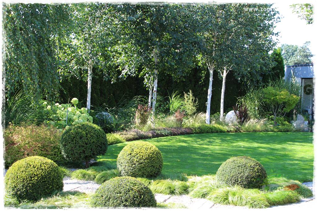 Jak osłonić ogród od hałasu 18 Jak osłonić ogród od hałasu 18