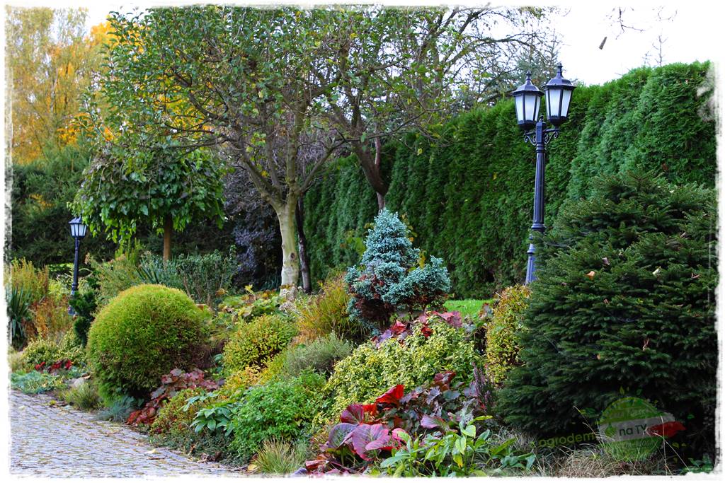 Jak osłonić ogród od hałasu 20 Jak osłonić ogród od hałasu 20