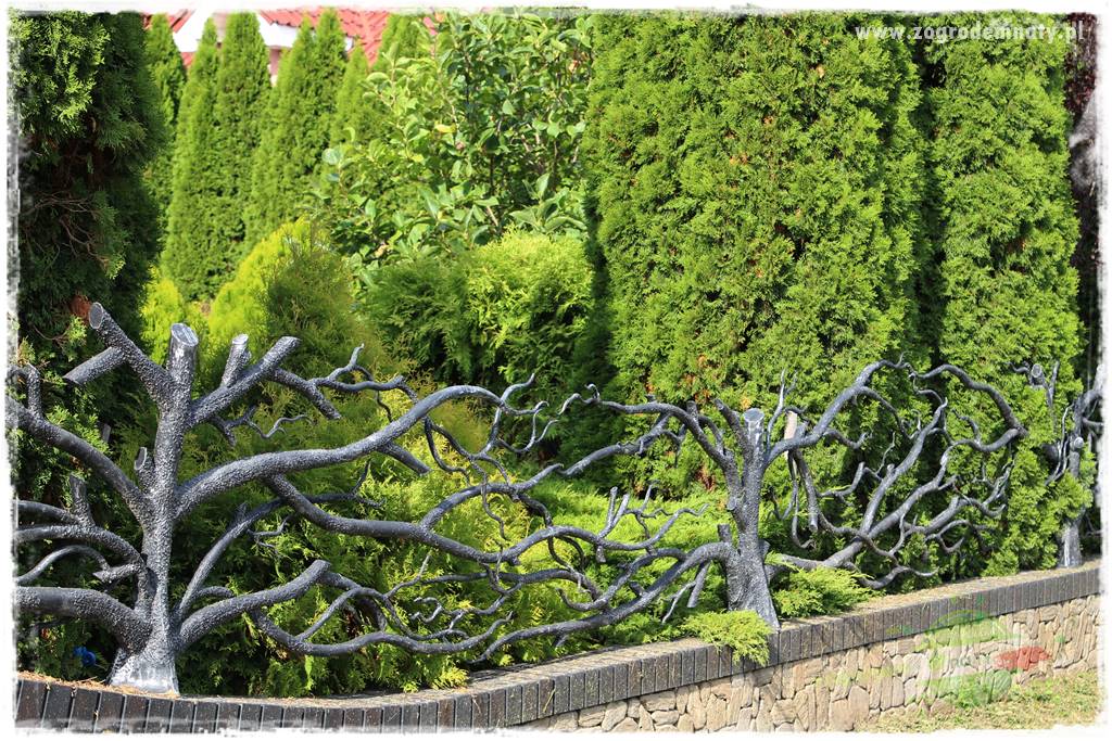 Jak osłonić ogród od hałasu 21 Jak osłonić ogród od hałasu 21