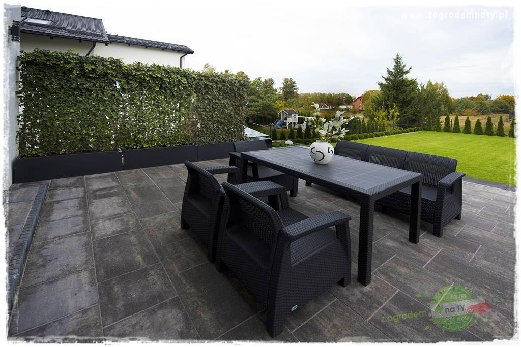 Jak osłonić ogród od hałasu 36 Jak osłonić ogród od hałasu 36