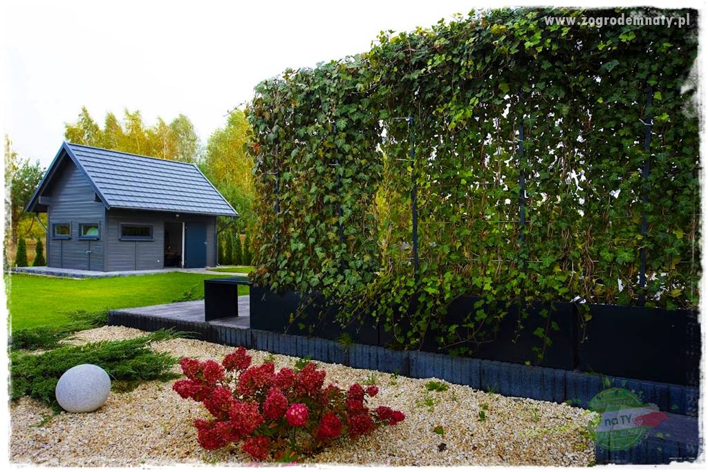 Jak osłonić ogród od hałasu 37 Jak osłonić ogród od hałasu 37