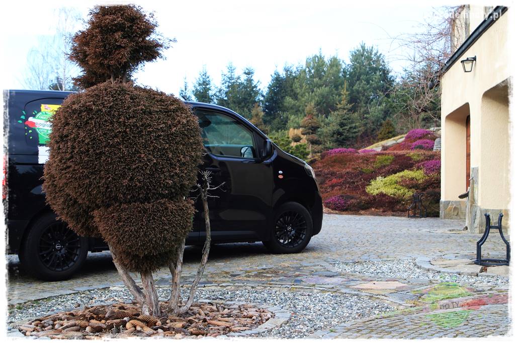 Jak osłonić ogród od hałasu 5