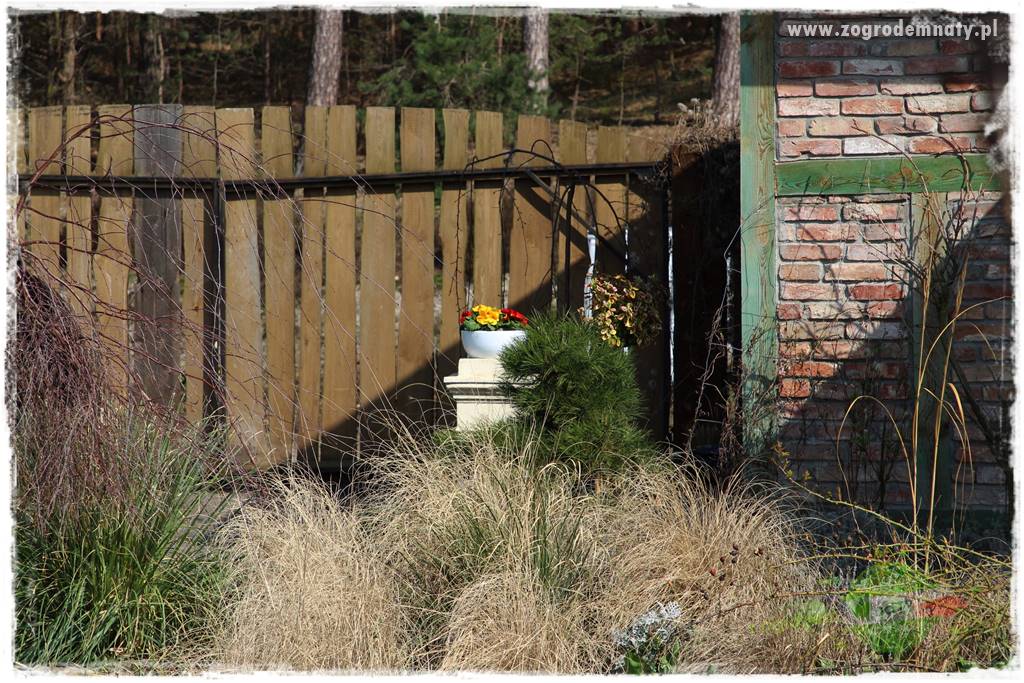 Jak osłonić ogród od hałasu 7 Jak osłonić ogród od hałasu 7