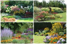 Kolorowe rabaty ogrodowe 0