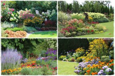 Kolorowe rabaty ogrodowe 0