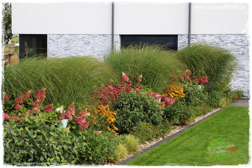 Kolorowe rabaty ogrodowe 15