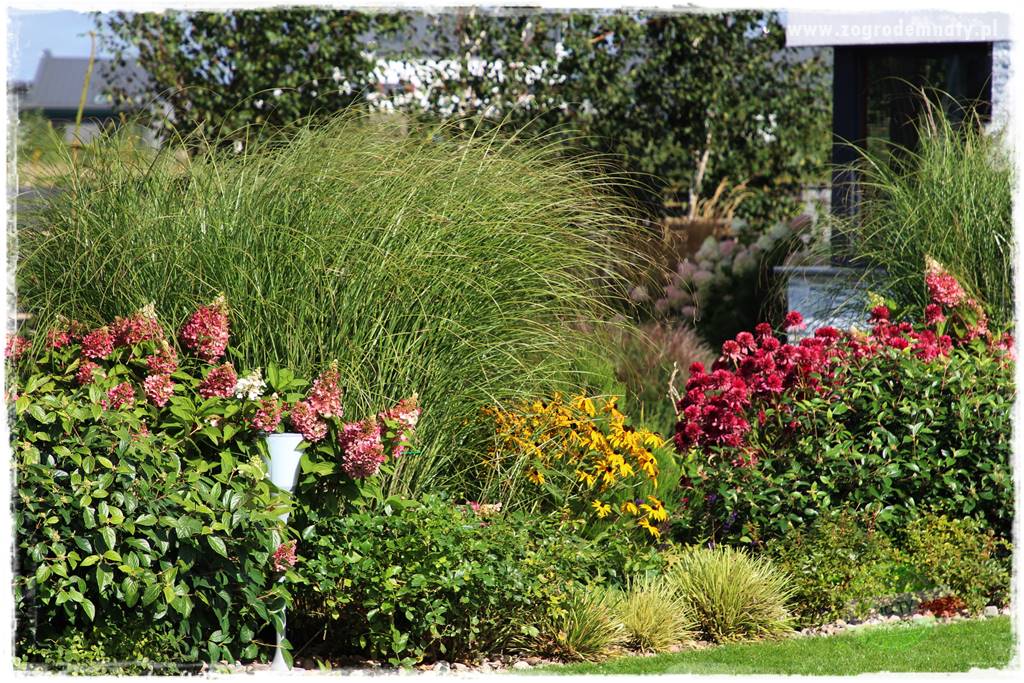 Kolorowe rabaty ogrodowe 16