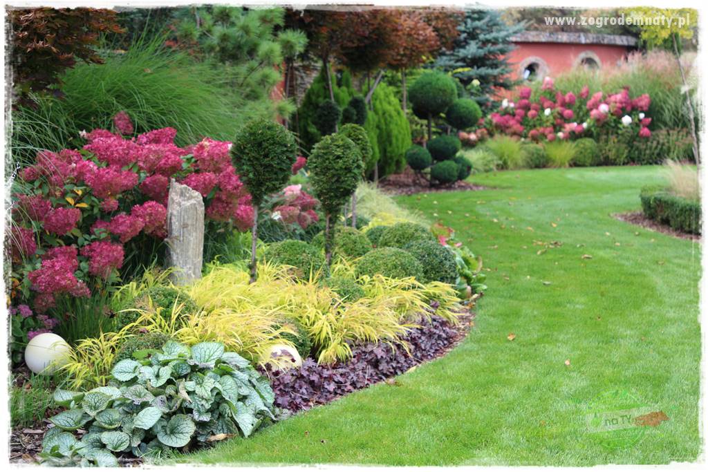 Kolorowe rabaty ogrodowe 27