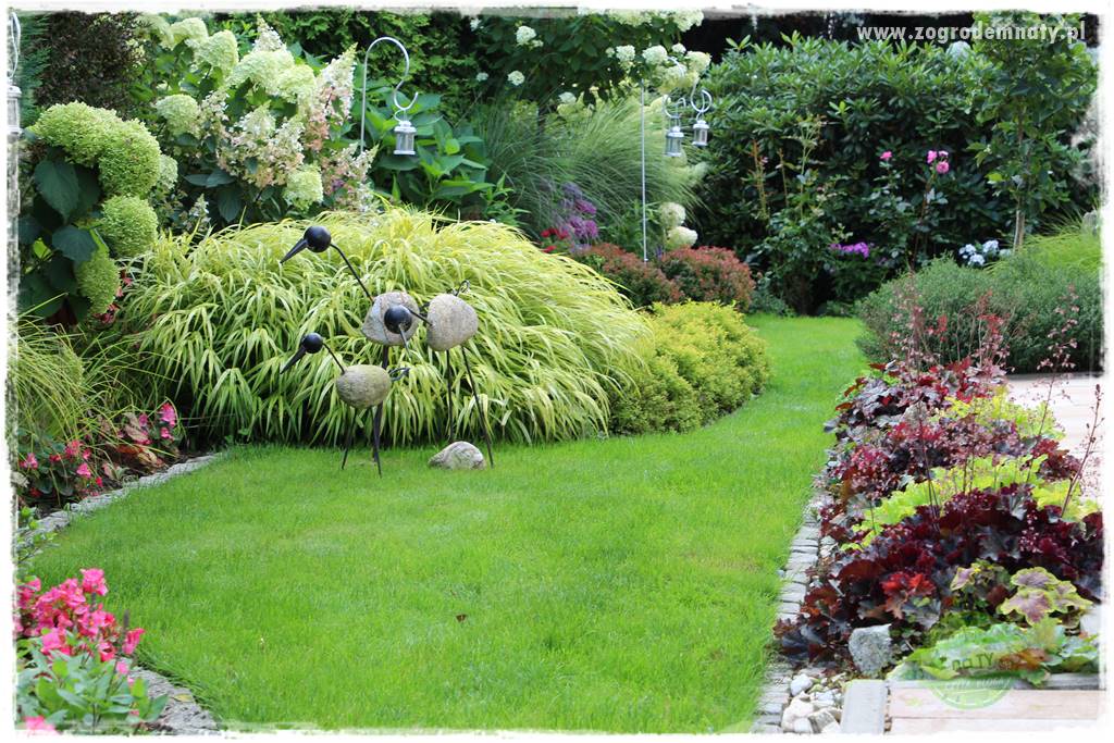 Kolorowe rabaty ogrodowe 30