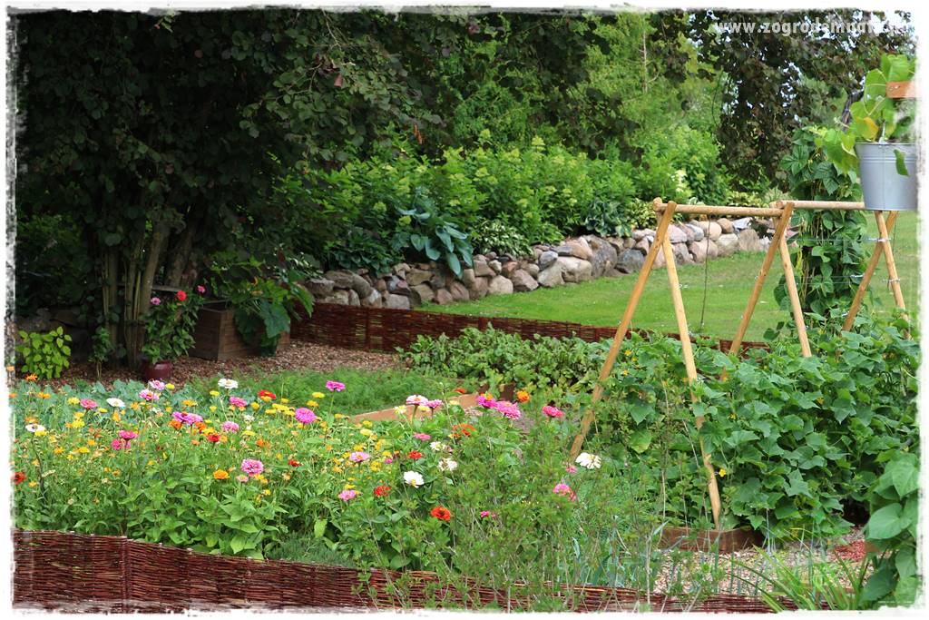 Kolorowe rabaty ogrodowe 36