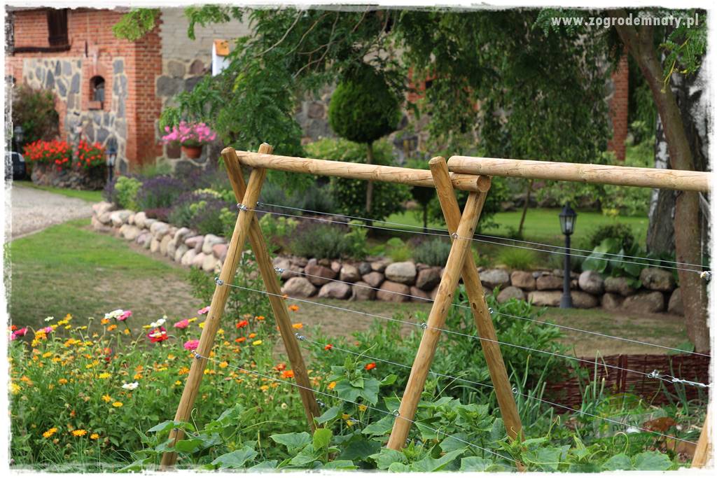 Kolorowe rabaty ogrodowe 37