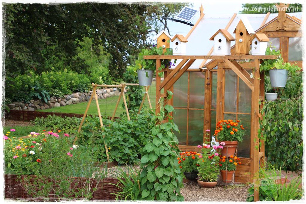 Kolorowe rabaty ogrodowe 38