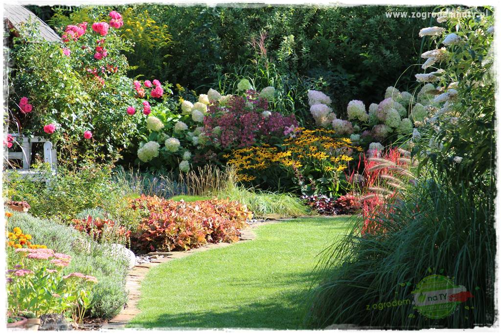 Kolorowe rabaty ogrodowe 39