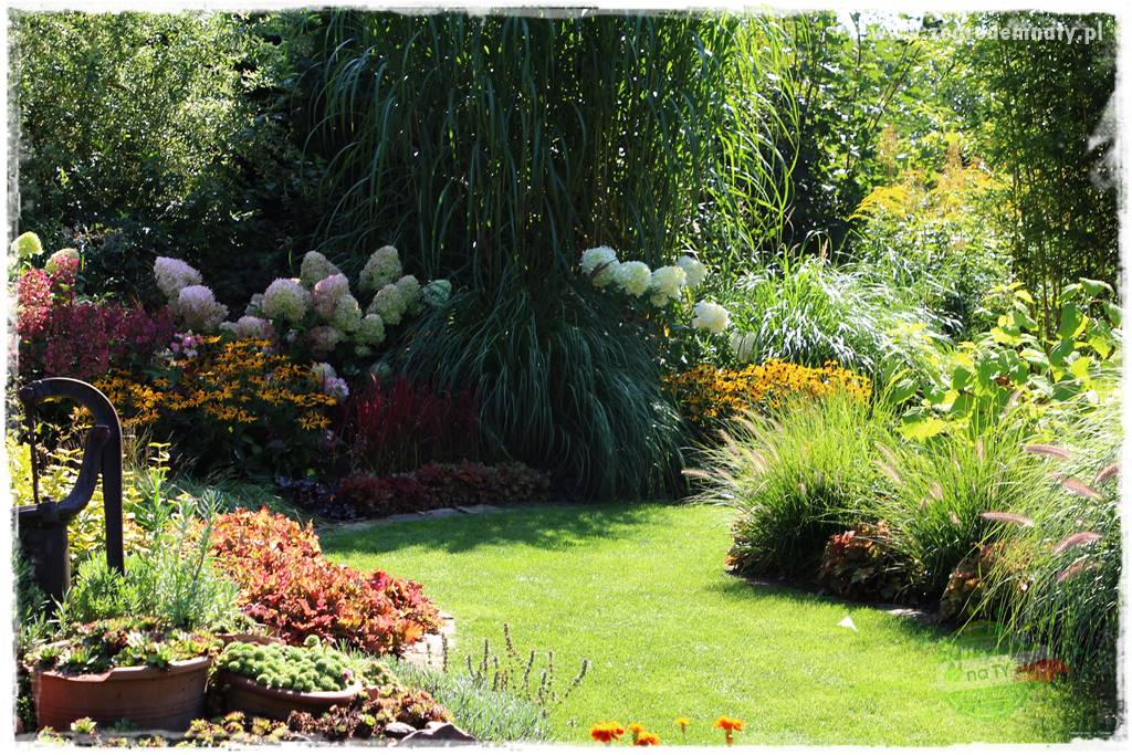 Kolorowe rabaty ogrodowe 40