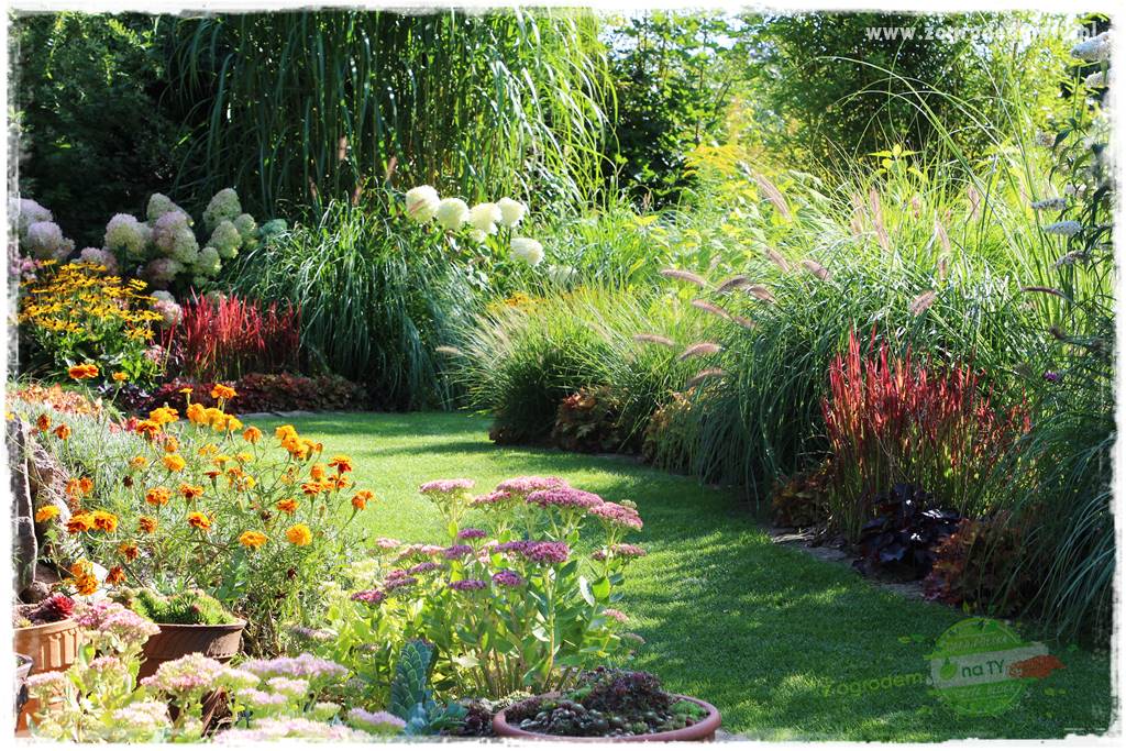 Kolorowe rabaty ogrodowe 41