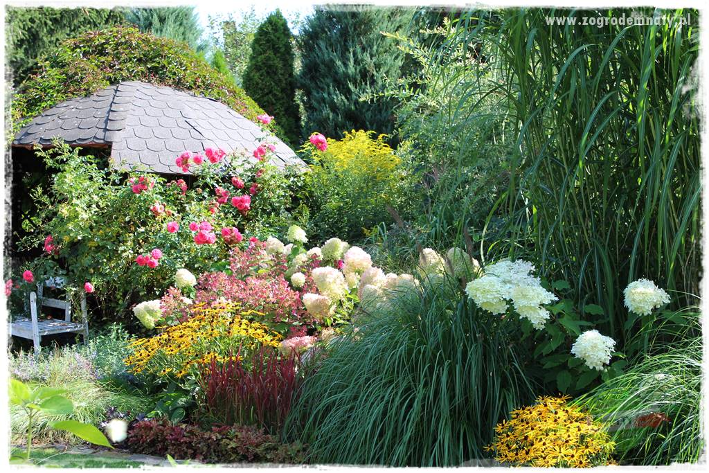 Kolorowe rabaty ogrodowe 43