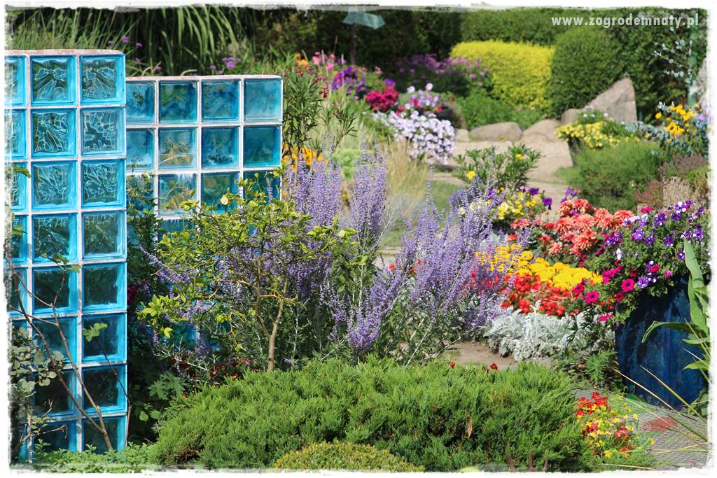 Kolorowe rabaty ogrodowe 47