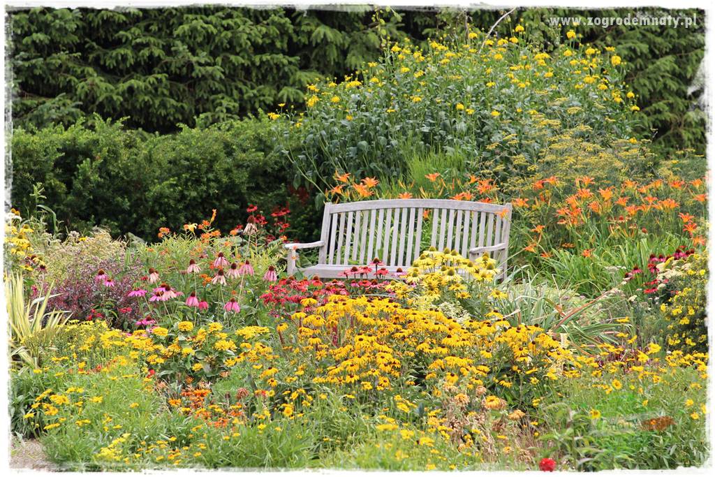 Kolorowe rabaty ogrodowe 49