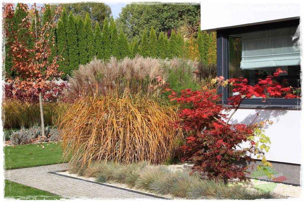 Kolorowe rabaty ogrodowe 52