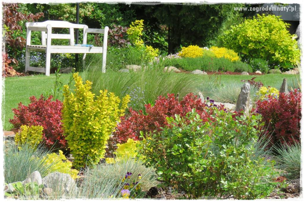 Kolorowe rabaty ogrodowe 53