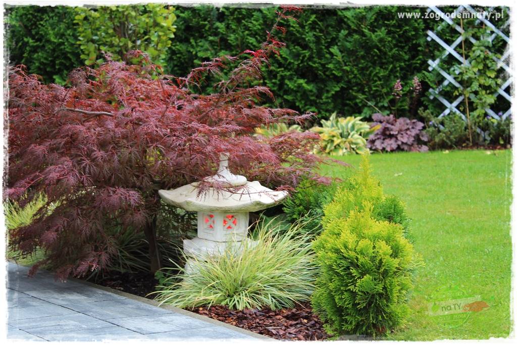 Kolorowe rabaty ogrodowe 54