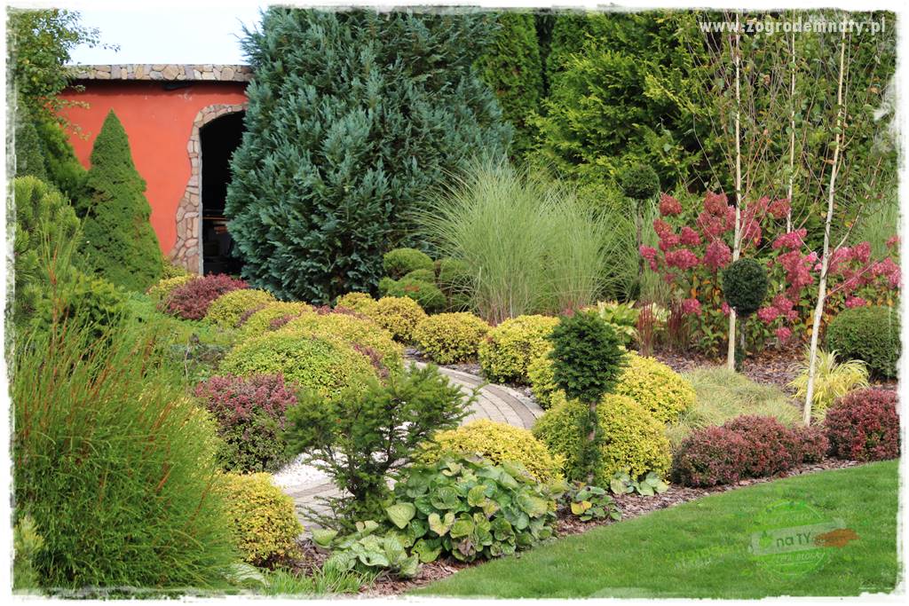 Kolorowe rabaty ogrodowe 56