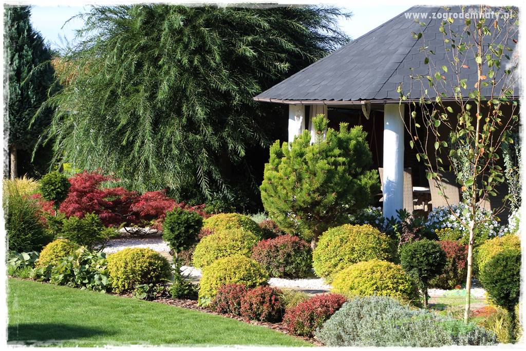 Kolorowe rabaty ogrodowe 58