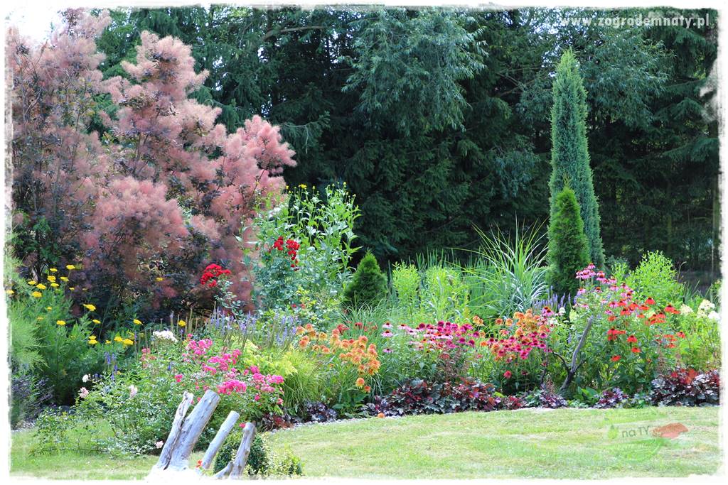 Kolorowe rabaty ogrodowe 64