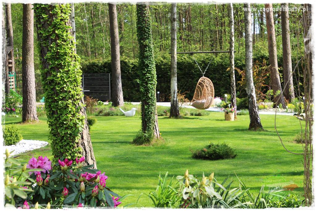 Ogród leśny 1 Ogród leśny 1