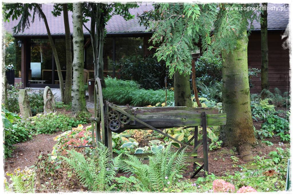 Ogród leśny 17 Ogród leśny 17