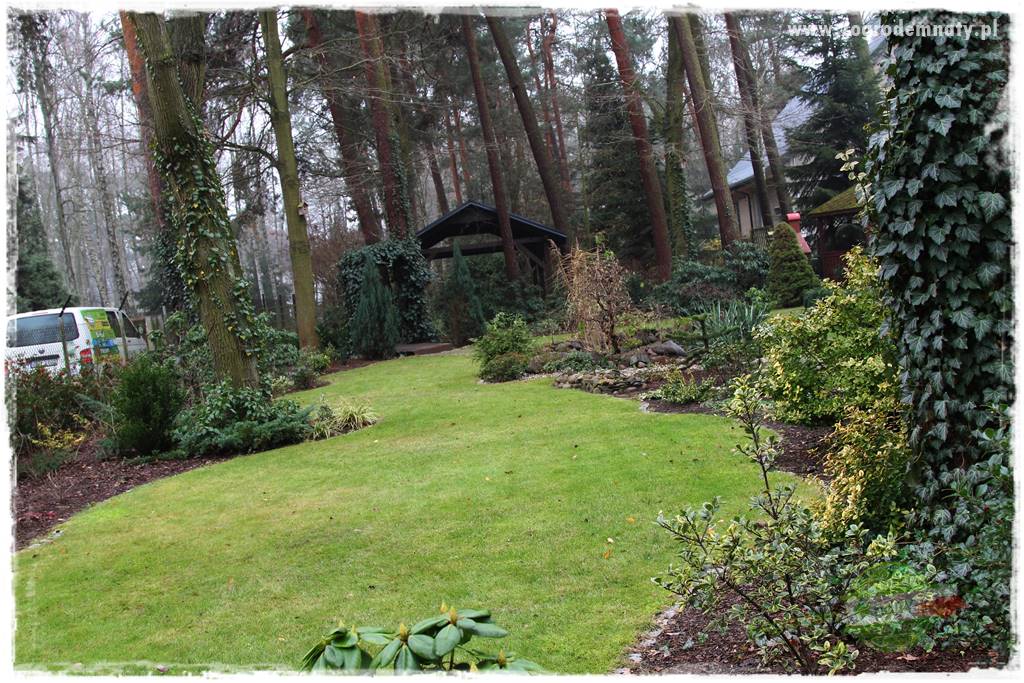 Ogród leśny 2 Ogród leśny 2