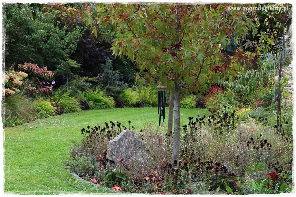 Ogród leśny 33 Ogród leśny 33