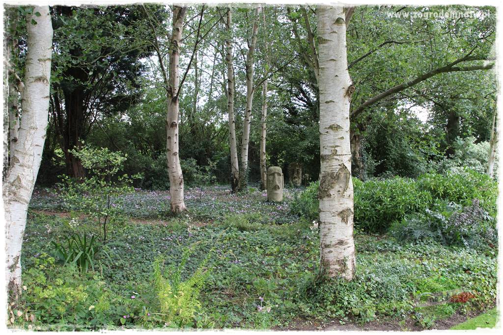 Ogród leśny 4 Ogród leśny 4